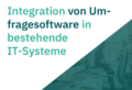 IT-Spezialisten integrieren Umfragesoftware in ein bestehendes System, um Daten nahtlos zu erfassen und zu analysieren.